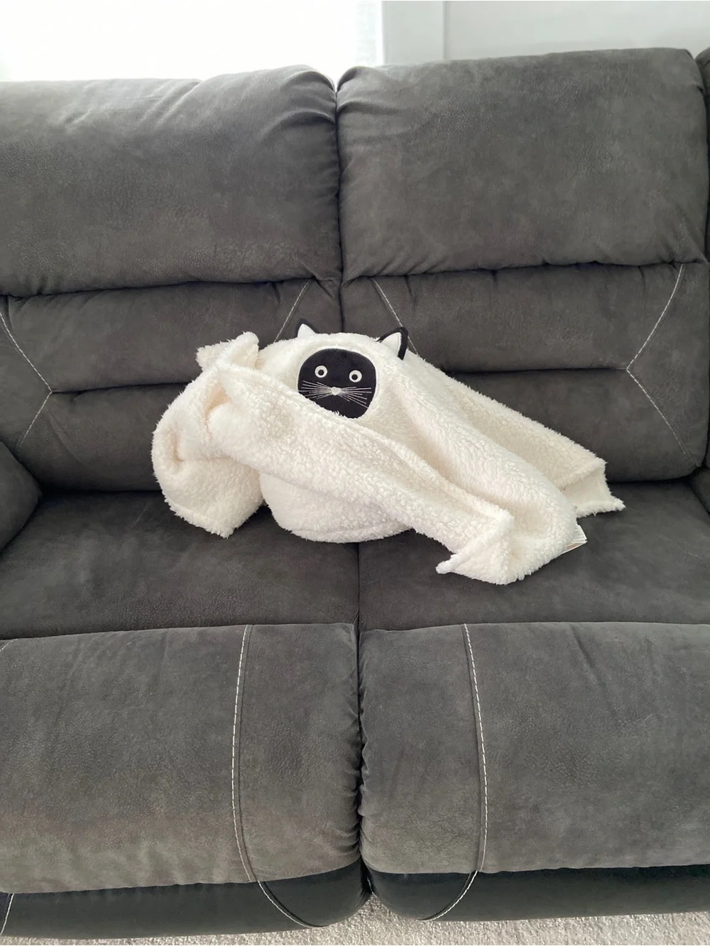 Scaredy Cat Pillow Pottery Barn NWT